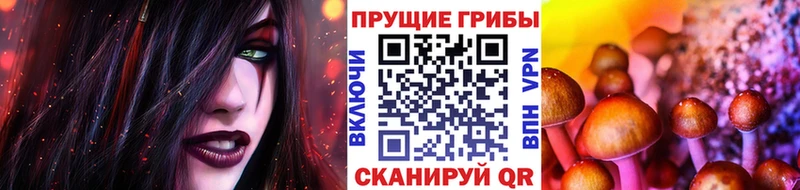 наркотики  Алапаевск  ОМГ ОМГ онион  Псилоцибиновые грибы Cubensis 