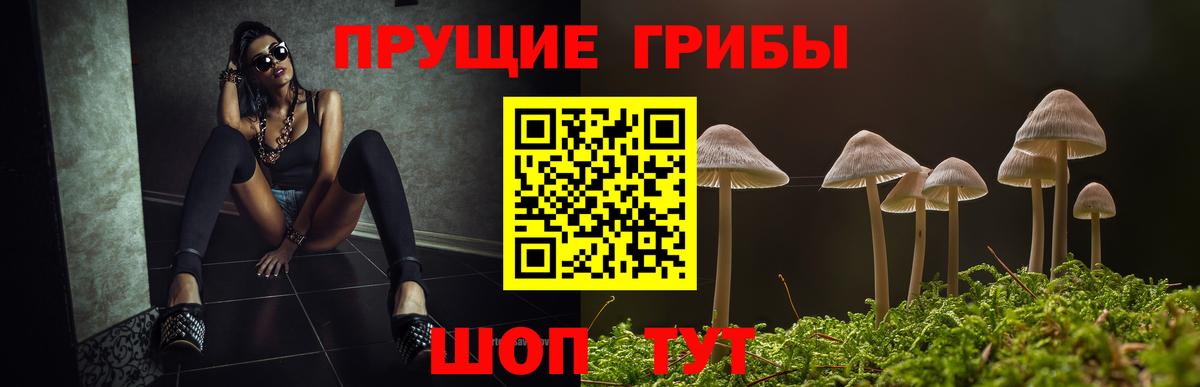 Алапаевск  Галлюциногенные грибы Cubensis  Вход с VPN 